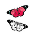 hand drawn sketch butterfly in color isolated vector image vector image