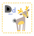 letter d funny alphabet for young children vector image