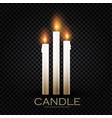 realistic 3d burining wax paraffin candles vector image