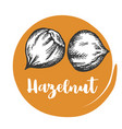 seeds and nuts vintage hand drawing of hazelnut vector image vector image