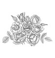 vintage floral composition vector image
