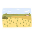 farm field with crops agriculture village area vector image vector image