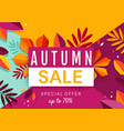 autumn sale banner background with fallen leaves vector image