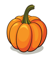 pumpkin vector image