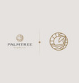 palm tree monoline universal creative premium vector image