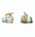 easter rabbit and egg in the garden hand vector image
