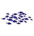 swimming fish shoal blue animal silhouettes vector image