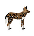 african wild dog vector image