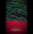 christmas stories template with pine branches vector image vector image