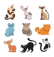 cartoon domestic cats vector image