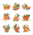 picnic baskets with food and drinks isolated icons vector image