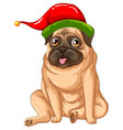 french bulldog wearing christmas hat vector image