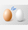 realistic chicken brown egg easter spring vector image vector image
