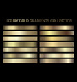 luxury golden gradients collection gold vector image