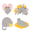 cute british shorthair cat collection 6 vector image