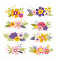 flower bouquets colorful spring vector image