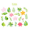 variety tropical leaves set vector image vector image