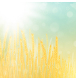 wheat field vector image