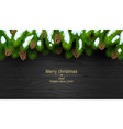 christmas background with fir branches and fir vector image vector image