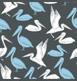 pelicans seamless pattern vector image