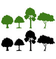 set of silhouette tree vector image vector image