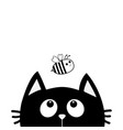 black cat looking up to bee bumblebee honeybee vector image