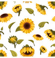 sunflowers pattern seamless decoration vector image vector image