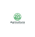 agriculture logo template vector image