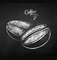 black and white chalk sketch coffee beans vector image vector image