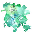 flower of hydrastis at watercolor background vector image vector image