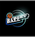 streetball modern professional sport typography vector image