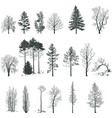 tree silhouette collection vector image vector image