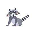 cartoon cute raccoon in flat style north american vector image