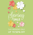 paper flowers vector image vector image