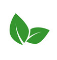 vegan food label concept green leaf vector image