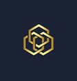 polygon line connection gold logo vector image vector image