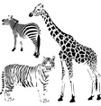 african striped and spotty animals vector image
