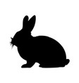 rabbit silhouettes vector image vector image