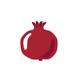 pomegranate icon vector image