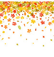 seamless border autumn falling leaf on white vector image vector image