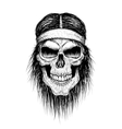 skull head injun vector image