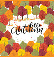 thanksgiving greeting cards and invitationshello vector image