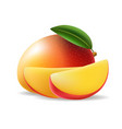 sliced mango dessert vector image vector image