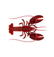 cartoon sea lobster animal marine crustacean vector image