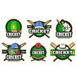 cricket sport items and player icons vector image vector image