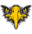 eagle face front view vector image vector image