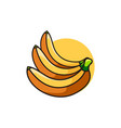 banana fruit design vector image vector image
