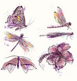 collection watercolor spring butterflies vector image
