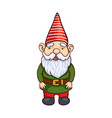 colorful garden gnome vector image