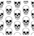 seamless of white human skulls vector image